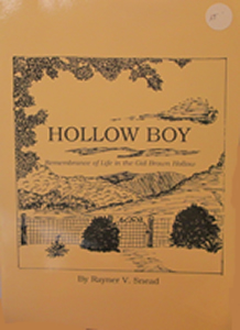 Hollow Boy